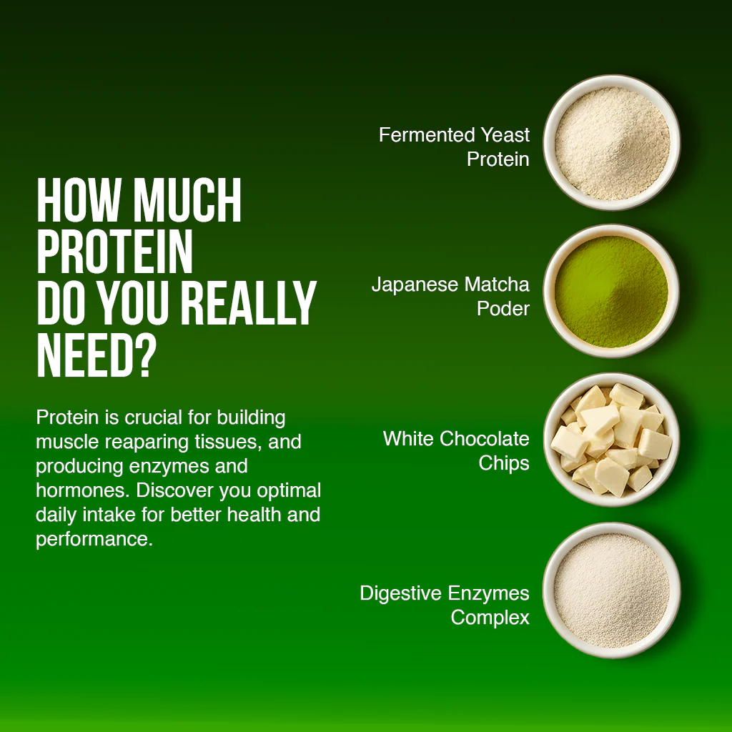Ceremonial Matcha Dessert Protein - 1 Kg - Image 5