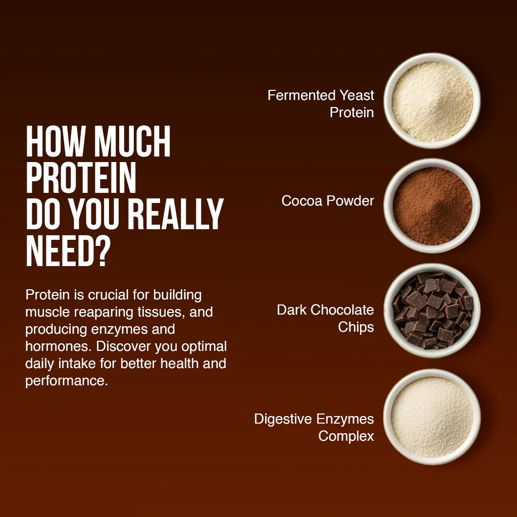 Chocochip Gelato Dessert Protein- 1 Kg - Image 5